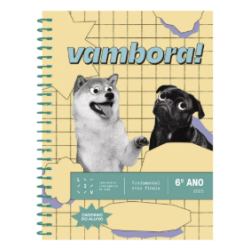 6° Ano Fundamental 2- LIV. -Programa Socioemocional
